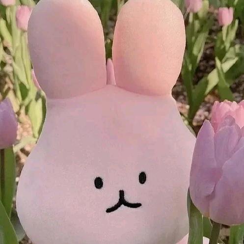 草莓邮递员🍓