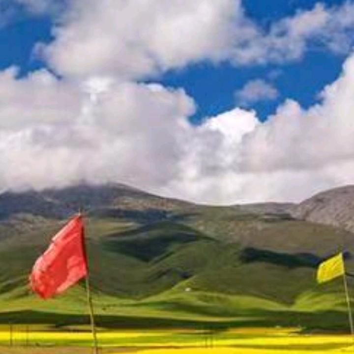 福明珠
