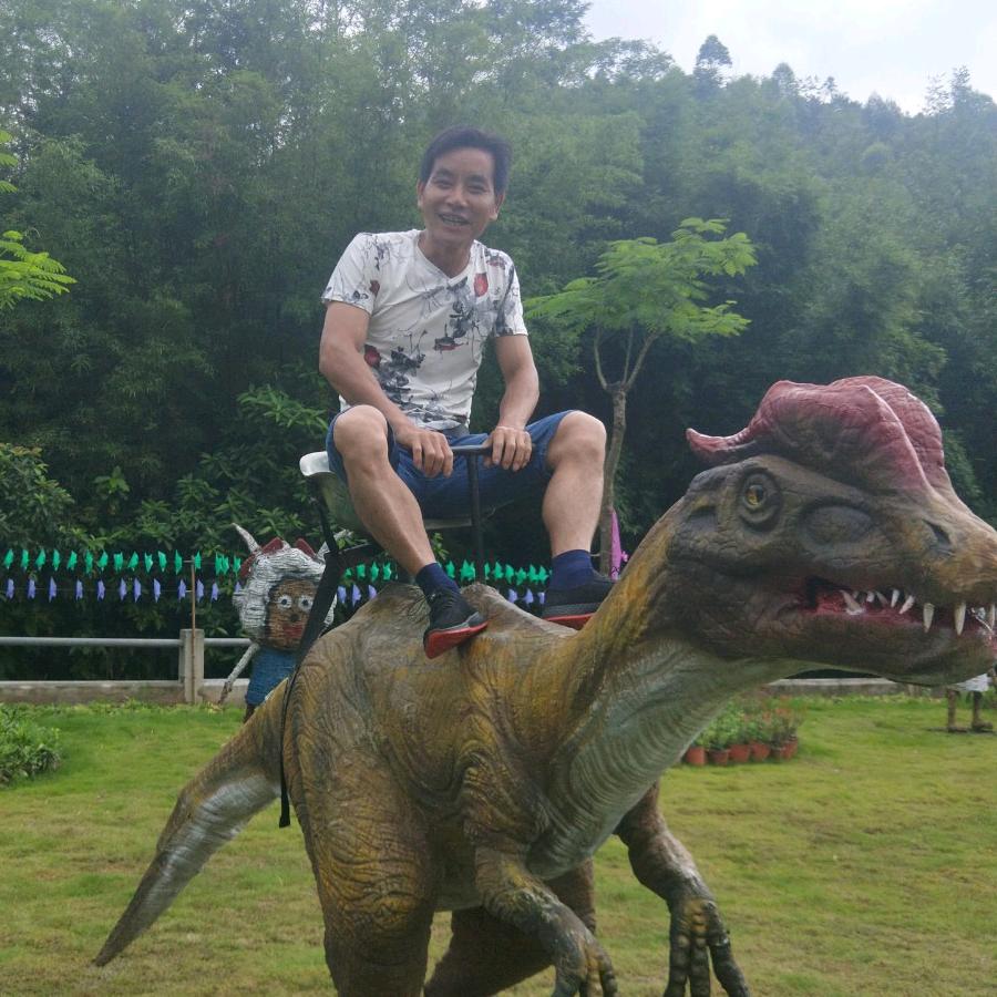 ╭(╯ε╰)╮任性卍^O^☞不任命☜