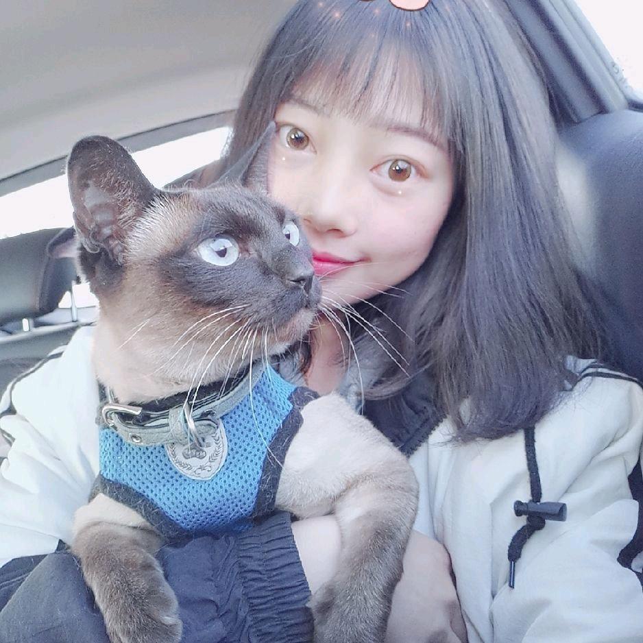 🐱菜菜圆心菜
