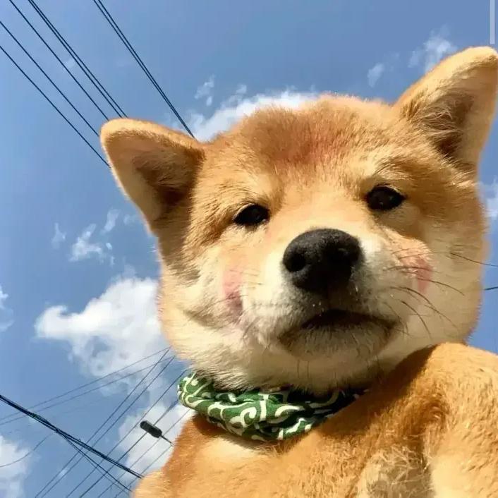 宁北朱亚文