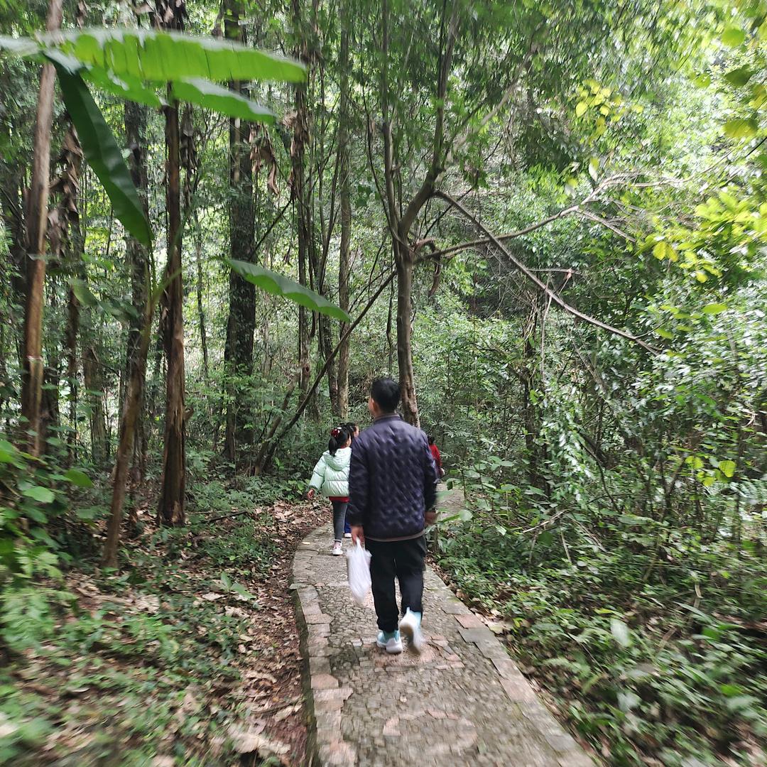 莫凡( ｰ̀εｰ́ )