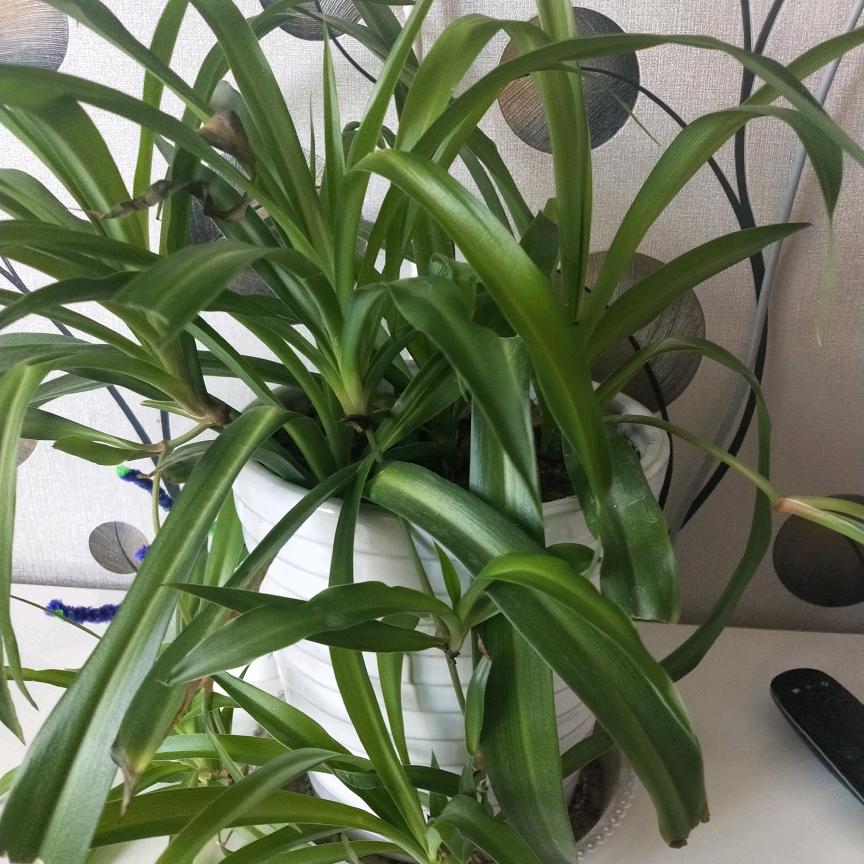 大小宝贝拒私聊