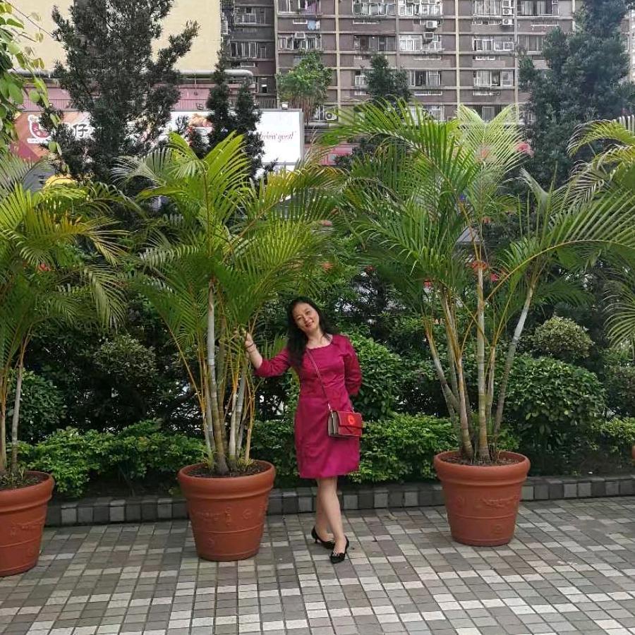 ☀️岁月静好☀️