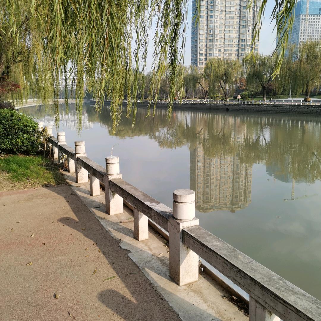 为你停刘'🌹🌹🌹💰💰💰