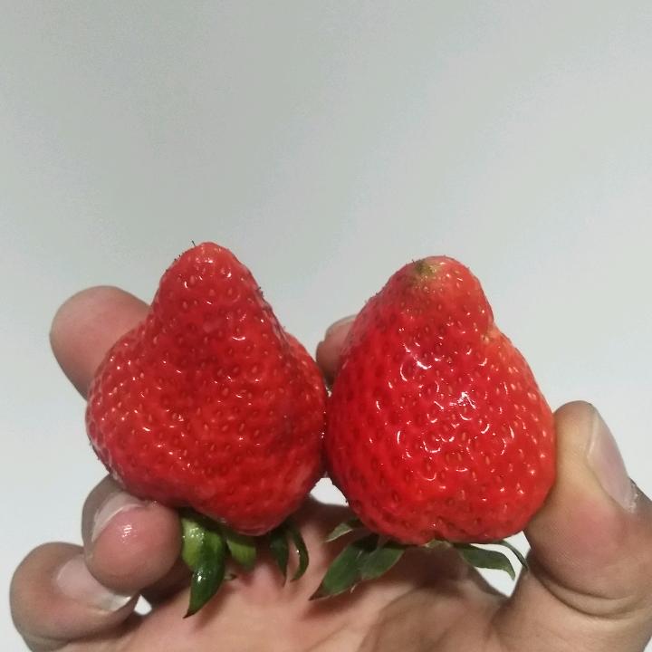 不一样
