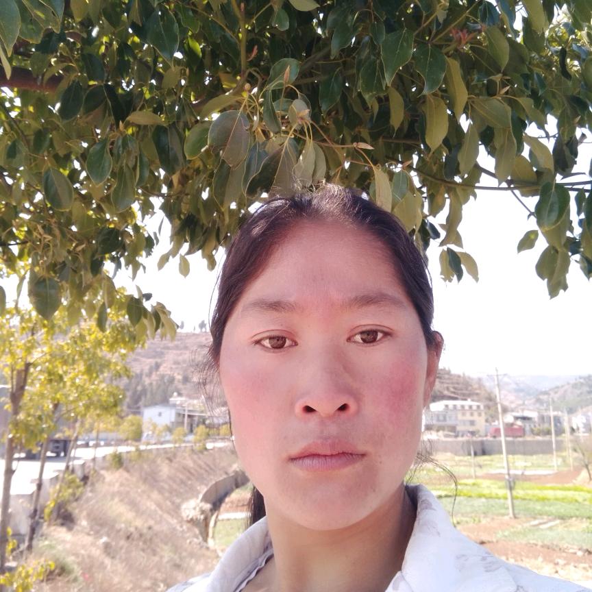 爱情伤了我恨你一生一世