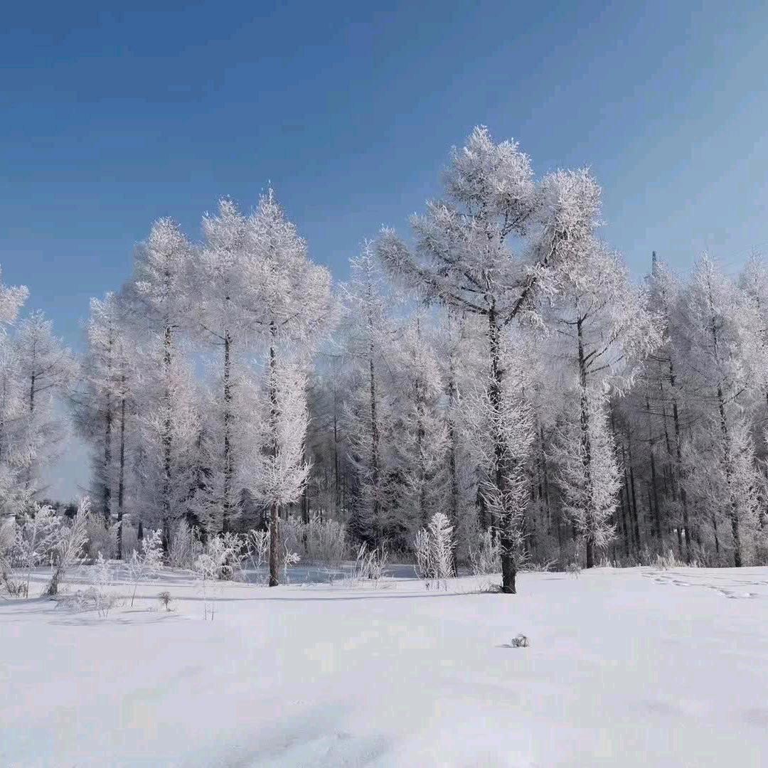 富贵吉祥