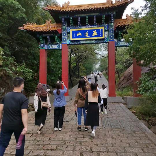 王晗悦批发西凤尖庄