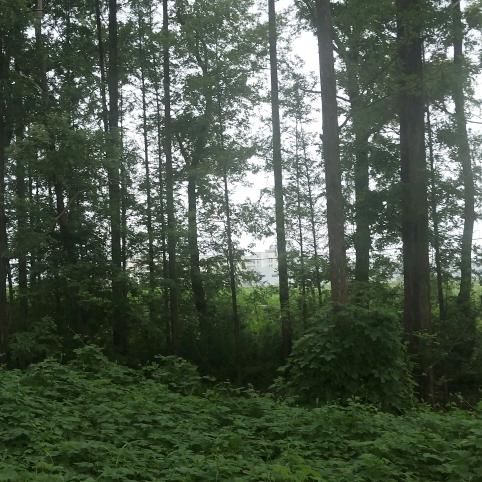 荆门通达兔云仓