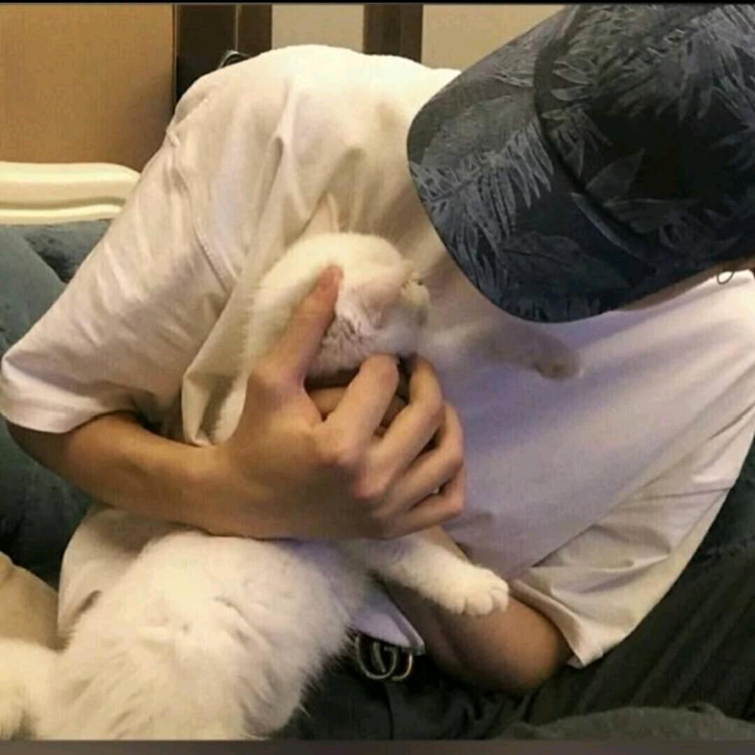小狄