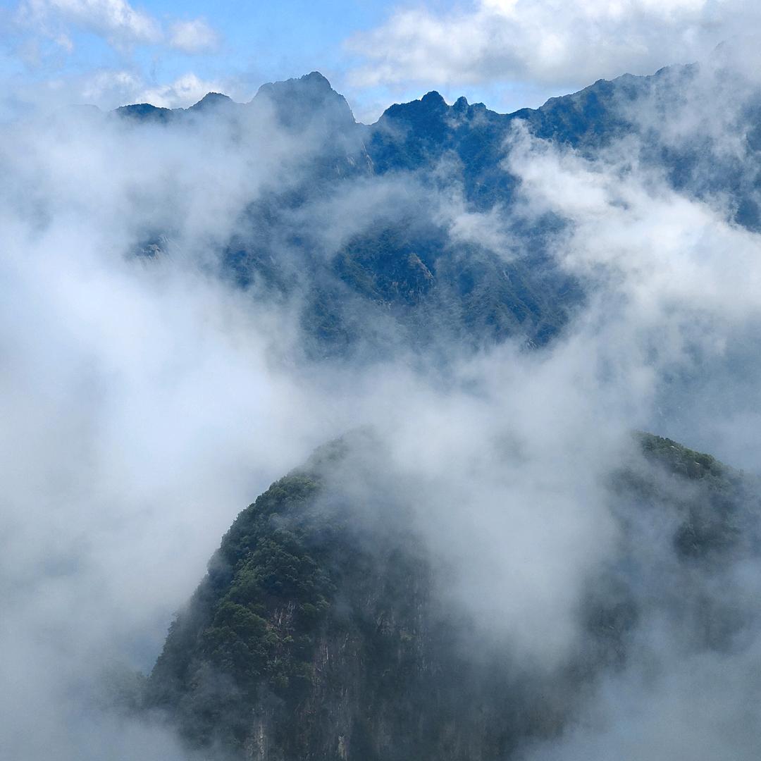 随遇而安8536787443436