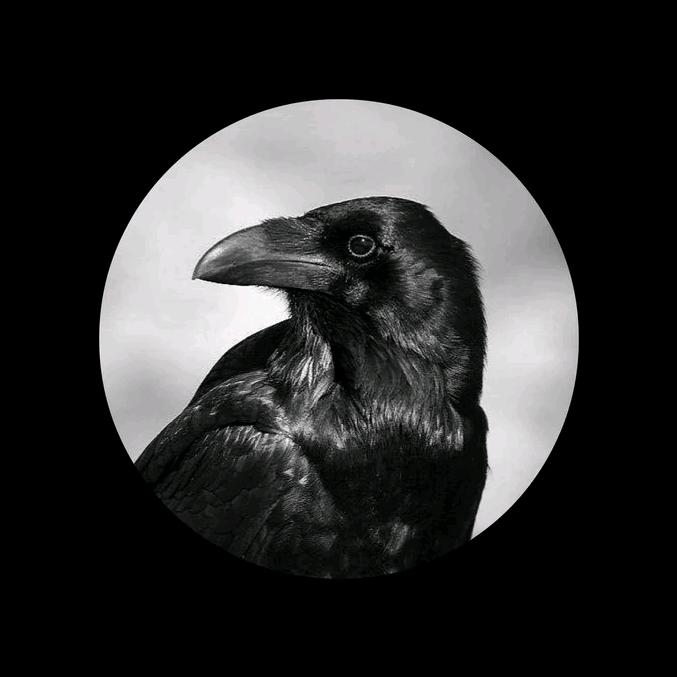 🌻阿泽今天有元气🌈