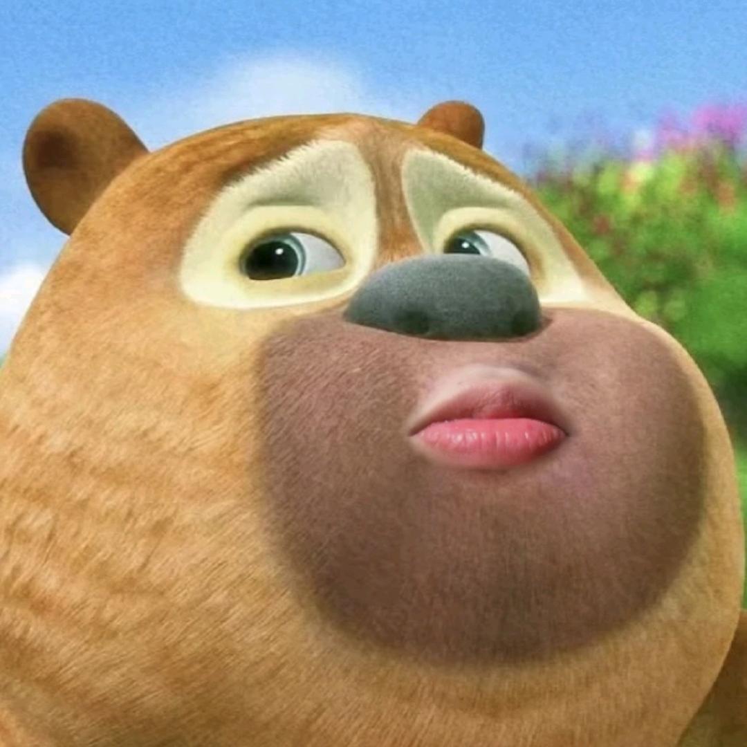南栀与猫