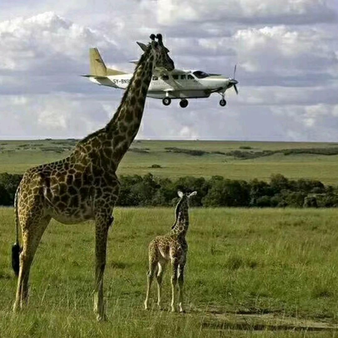 一盏灯  【情感！励志！】