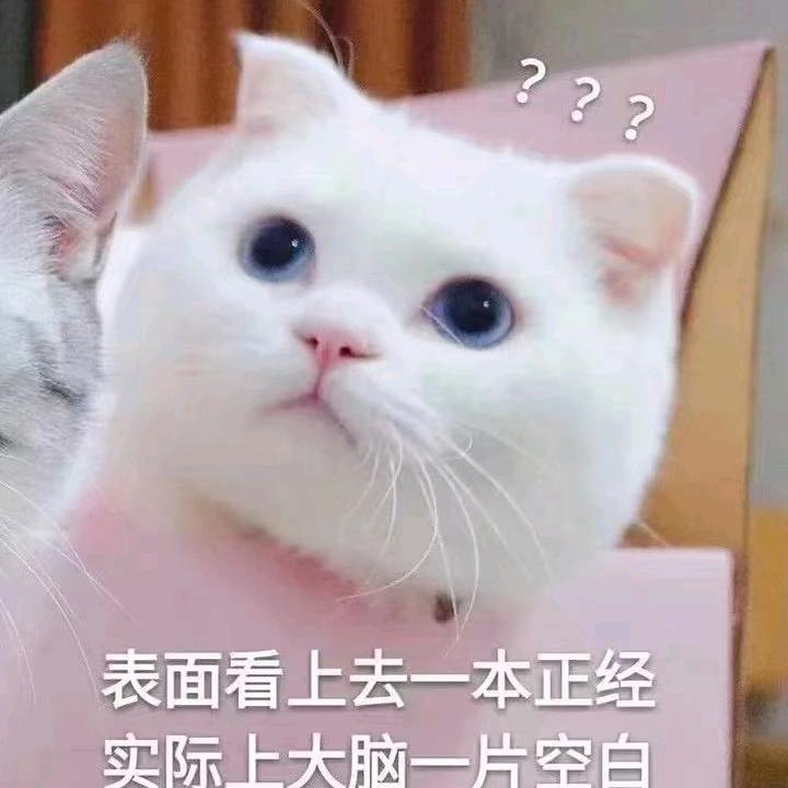 陈晓楠