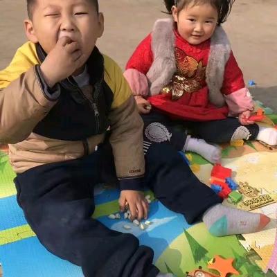柳柳