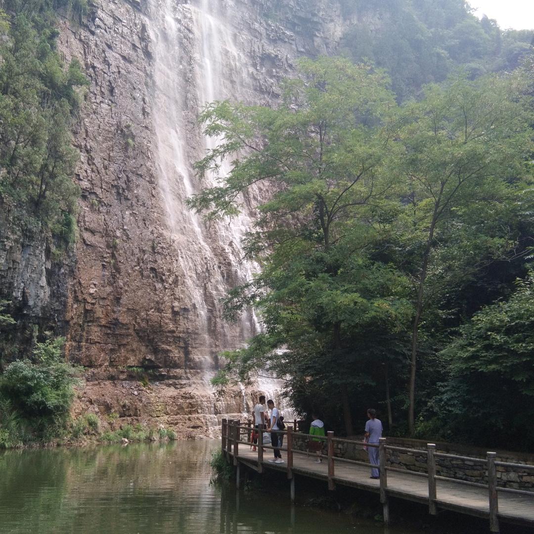義飛