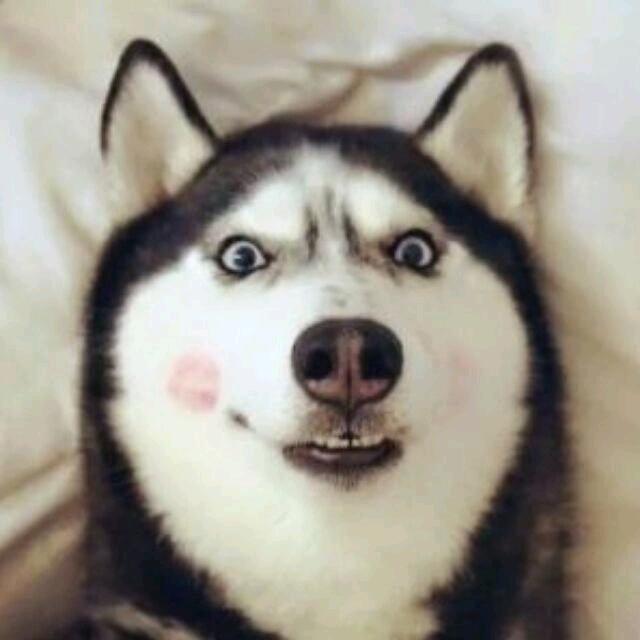 枫..