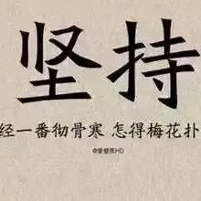 傻瓜果农