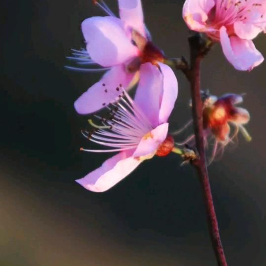 幸福其实很简单