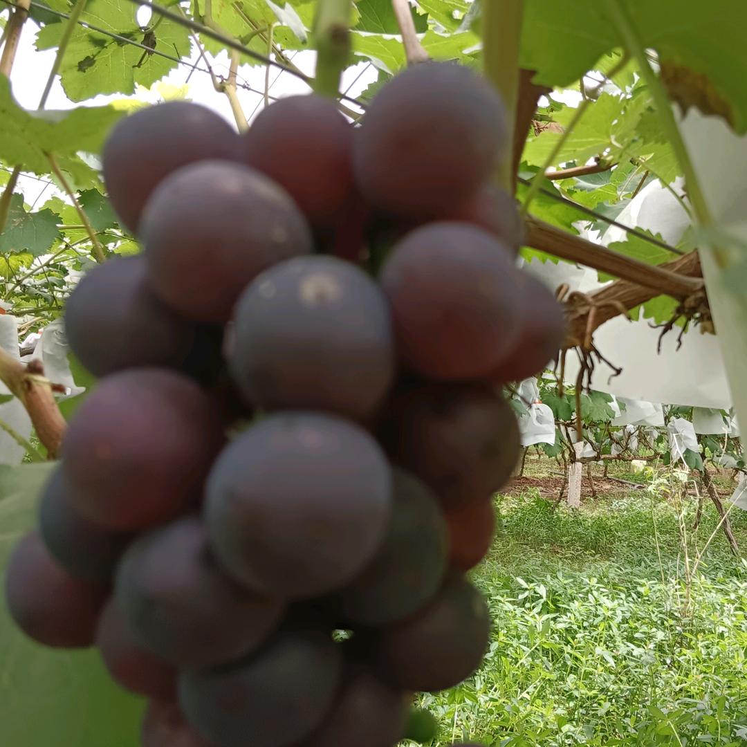 日落西山，你不陪，东山在起，你是谁