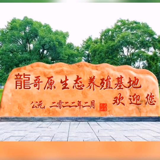 龍哥原生态养(种）殖示范基地