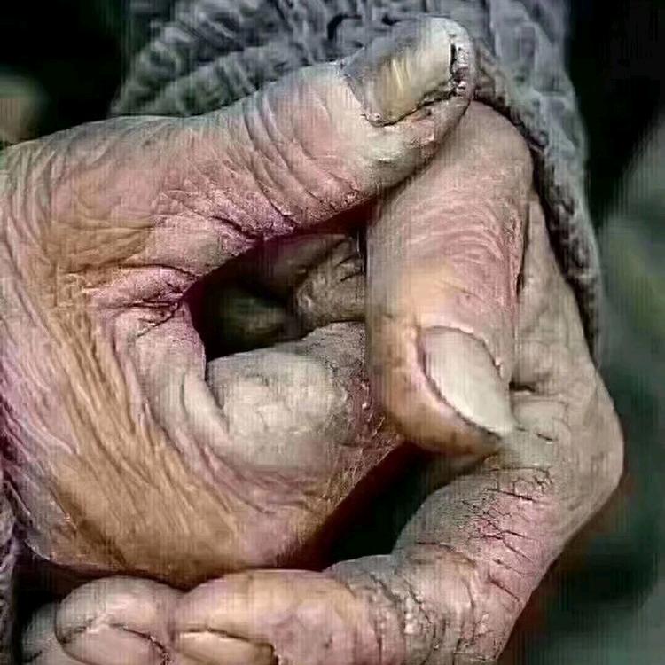 良言出嘴，此生无悔，