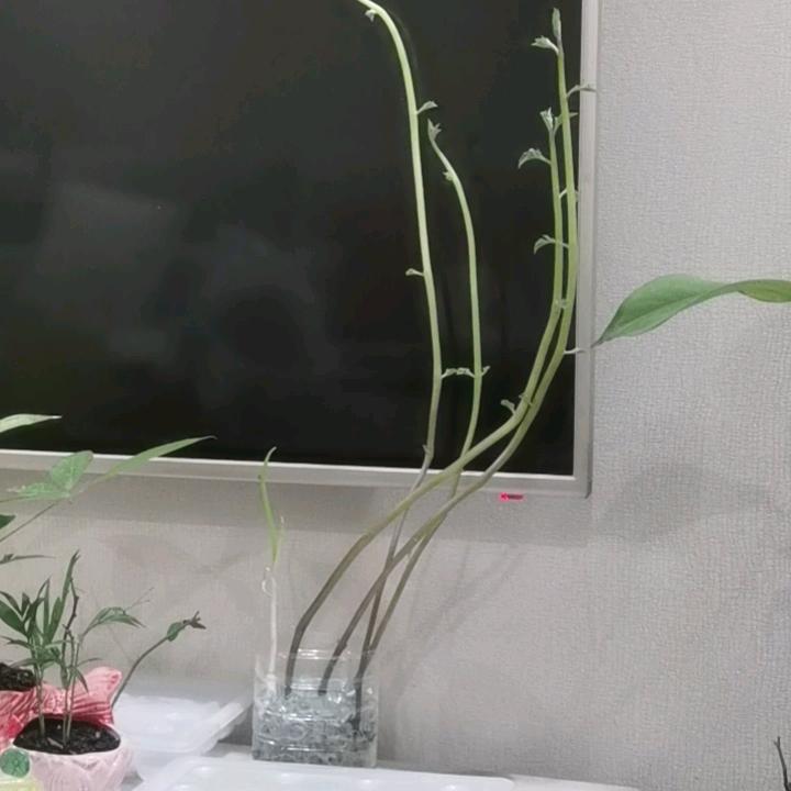四川辉隆达康建设工程