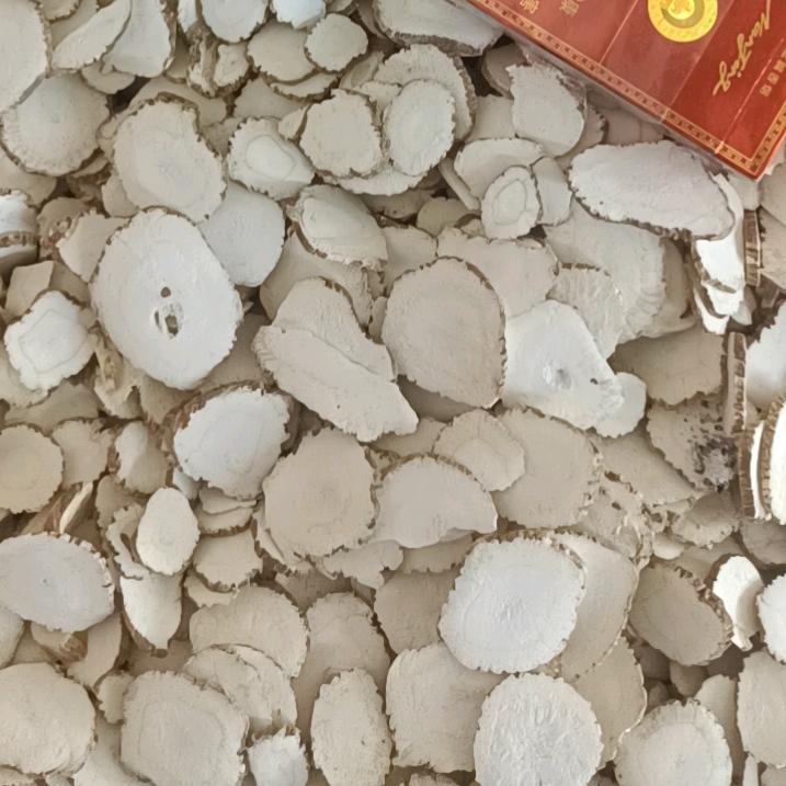 白芷  亚利