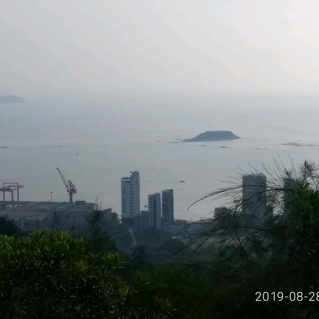 飞