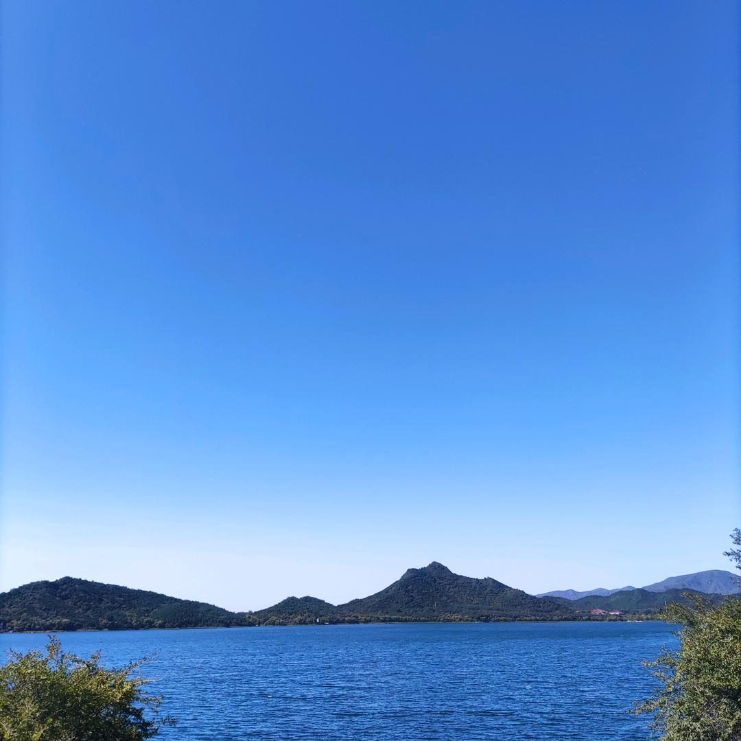 恋伊