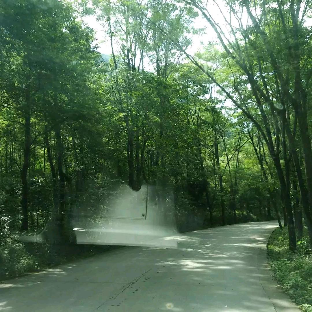 滨海雾凉