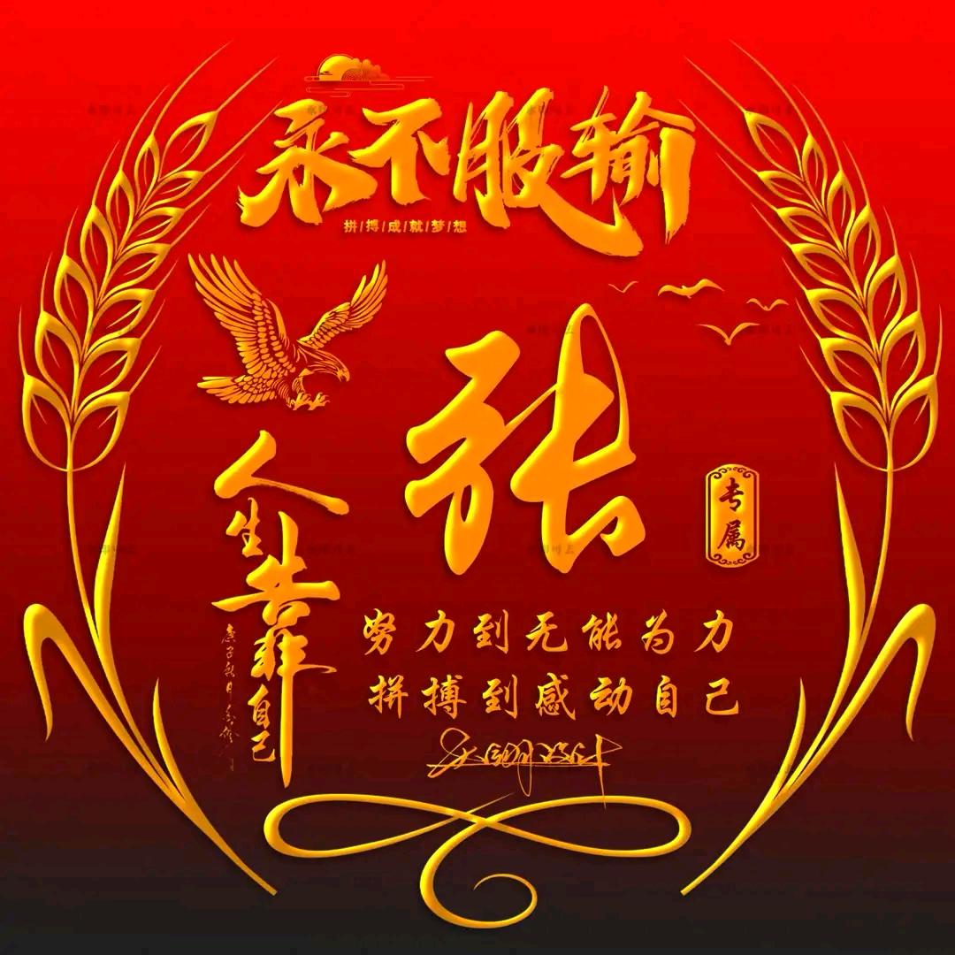奋斗新人韩晓婉头像