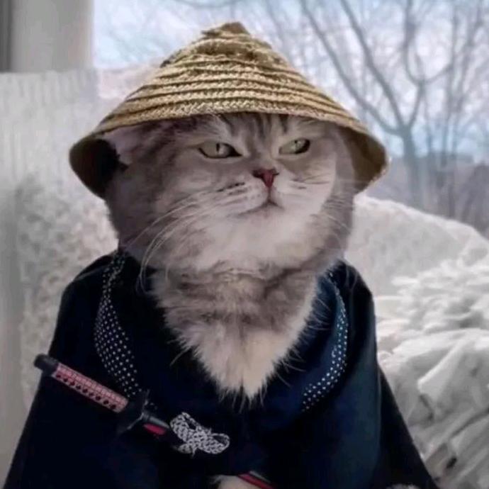 妮蔻游戏（三国杀娱乐）