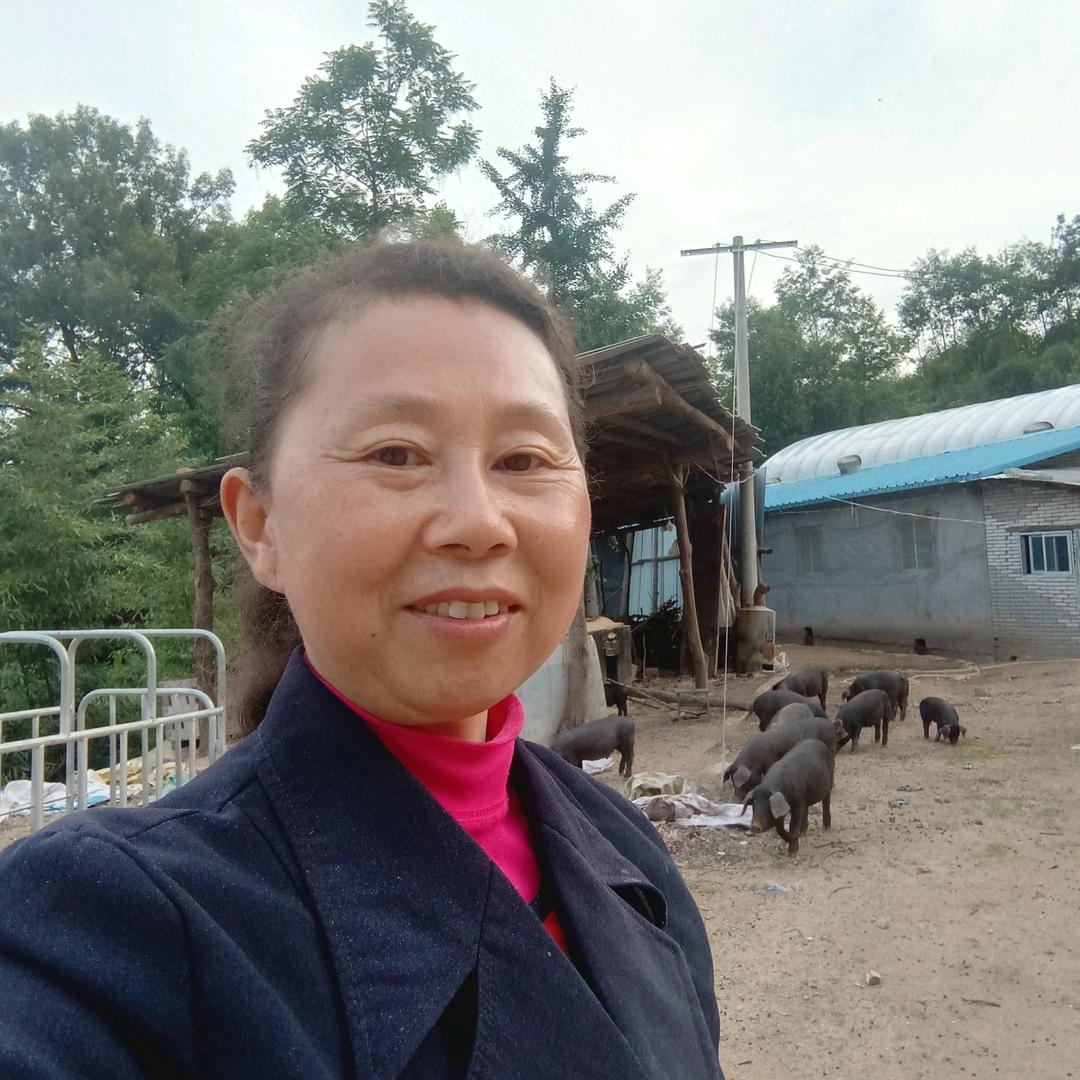 张谷花，散养土黑猪
