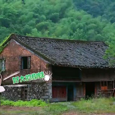 从❤❤心出发