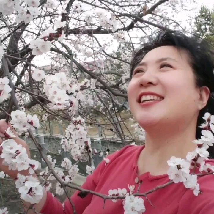 战晓宏