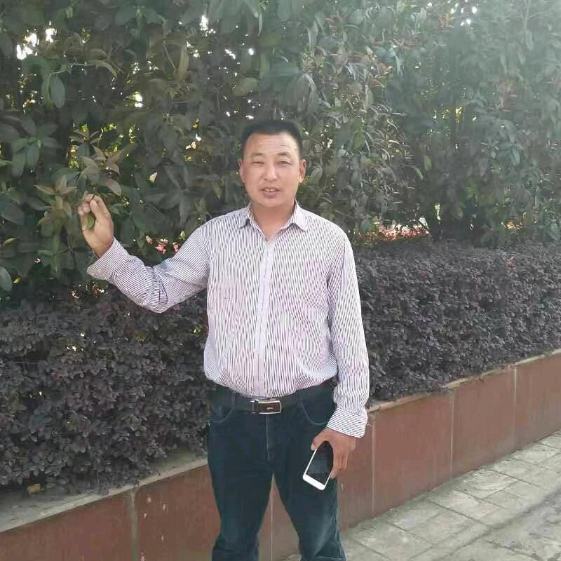 司守富