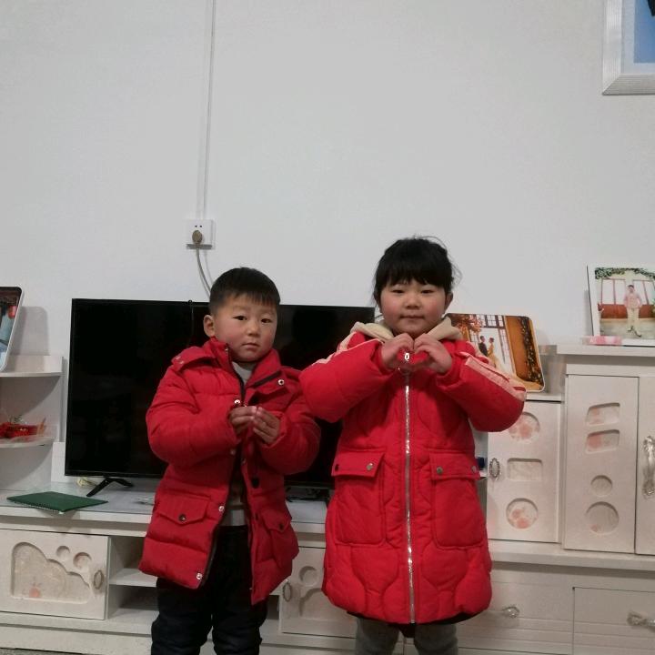晚霞飞雁