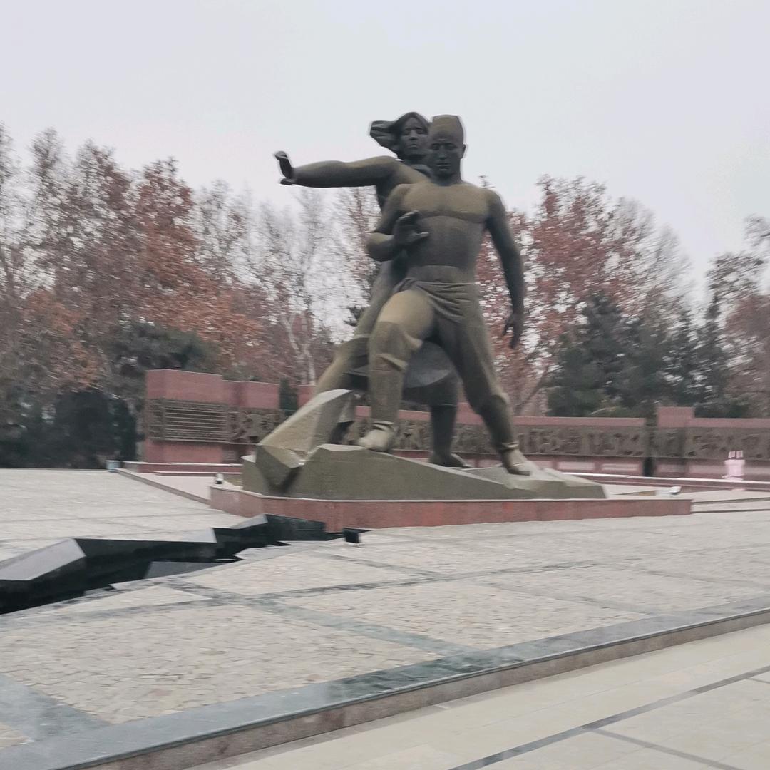 山鹰