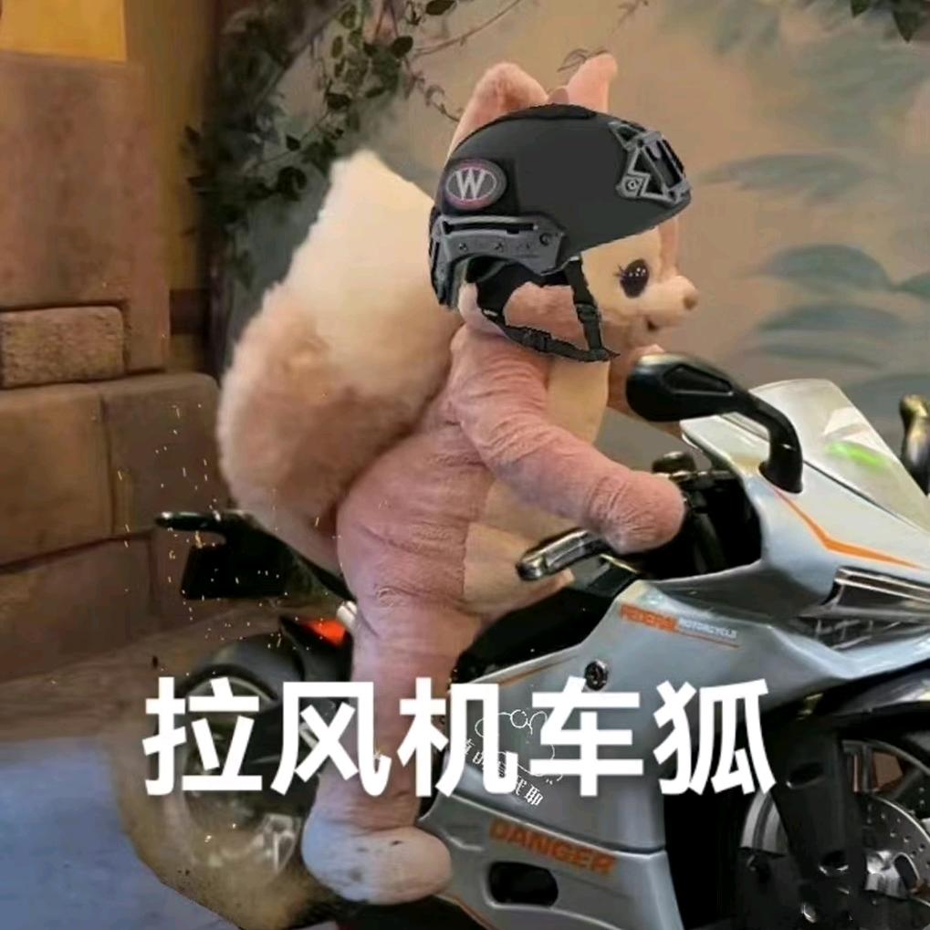 嘉嘉
