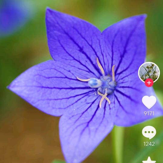 逍遥🌸🌼