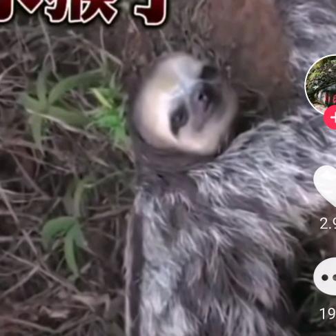 天望