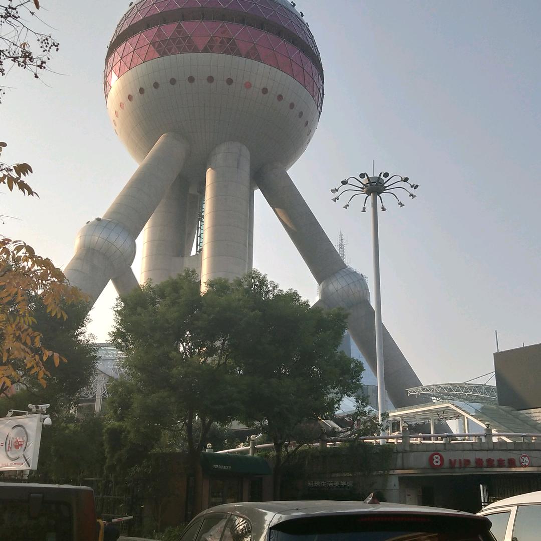 无法忘记你