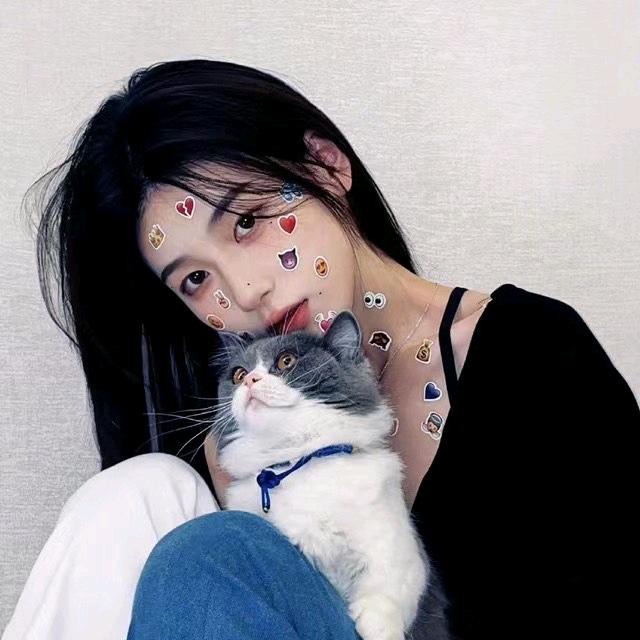 钢翼鸟