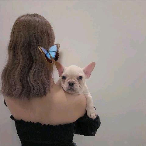照照