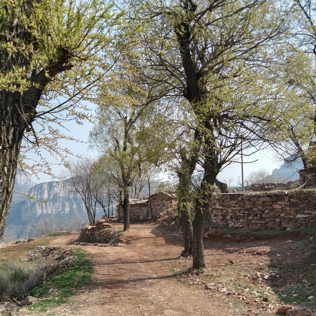 多愁善感的80后