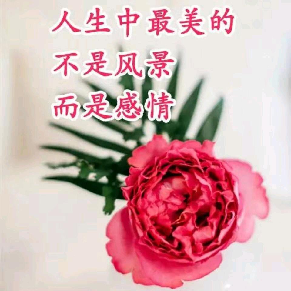 平安喜乐（拒绝私聊）