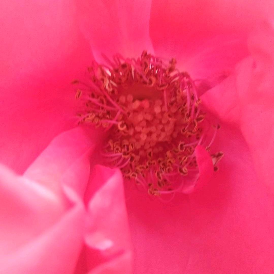 研易斋